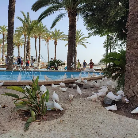 Apartment Agua Marina Levante