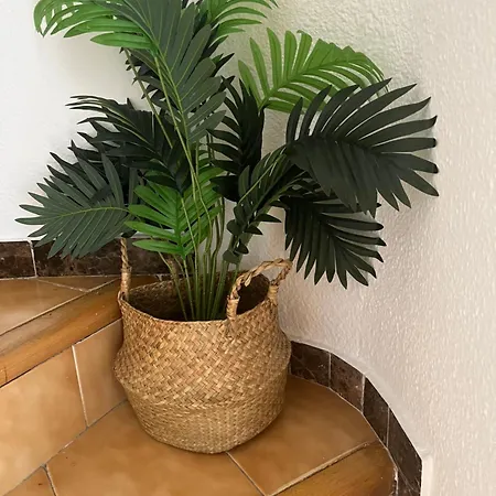 Сasa de vacaciones La Casita De Tiffany Rinconada Real *