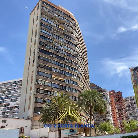 Sunflower Benidorm