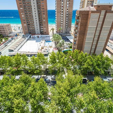Caballos 12-c Levante * Benidorm