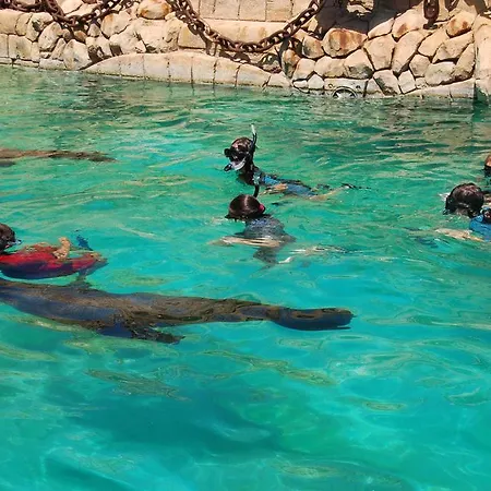 Magic Natura Resort Benidorm