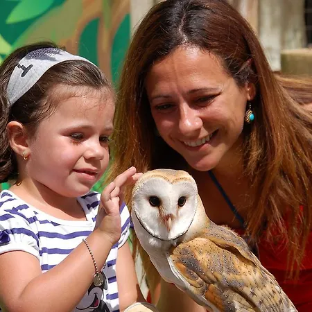 Magic Natura Resort Benidorm
