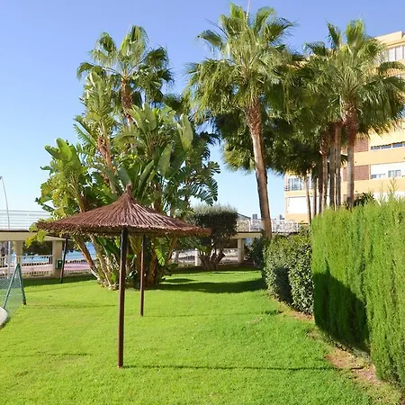El Olivar *