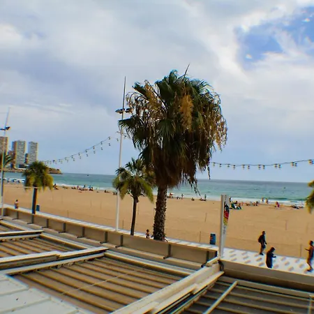 Appartement Ranchos Premium Levante