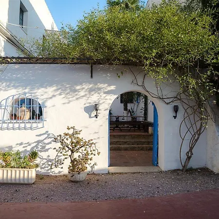 L'alfas Oasis