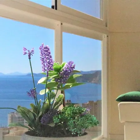 Apartment Atico Levante Torre Montecarlo