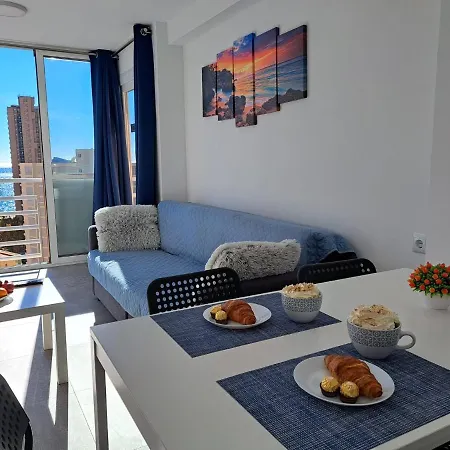 Provima Mallorca V Benidorm