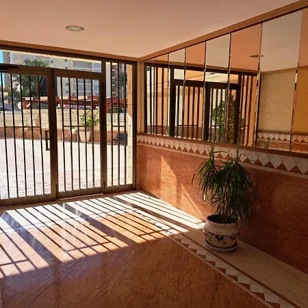 Provima Mallorca V