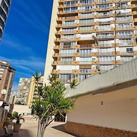 Provima Mallorca V Benidorm