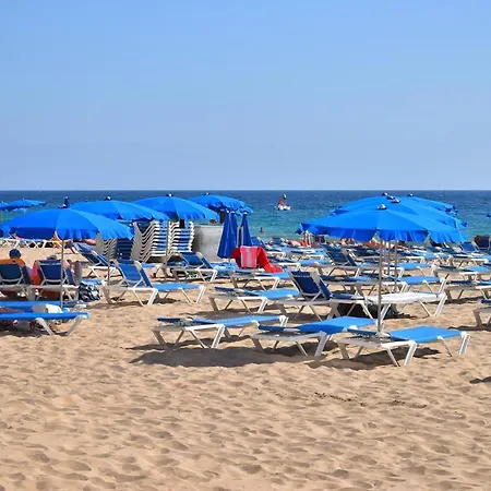 Caballos Vip Playa Levante