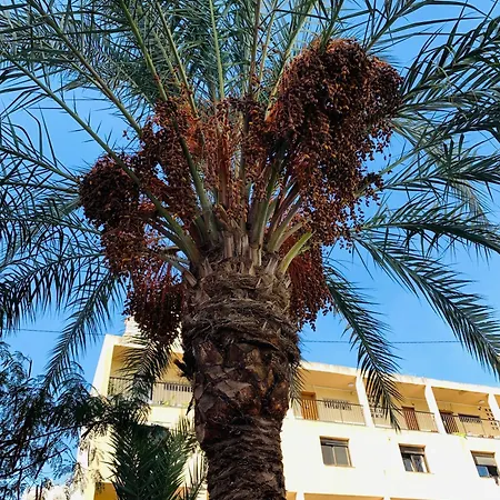Marabu Apartamento Benidorm