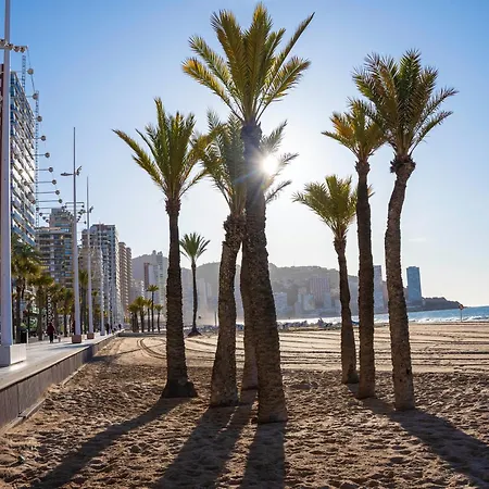 Apartment Las Palmeras 15d Benidorm