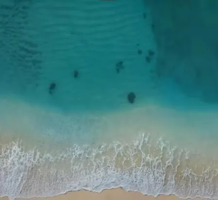 Tu Paraiso Costero En Playa De Poniente, Vistas Al Mar, Arena Dorada Y Un Entorno De Lujo * Benidorm