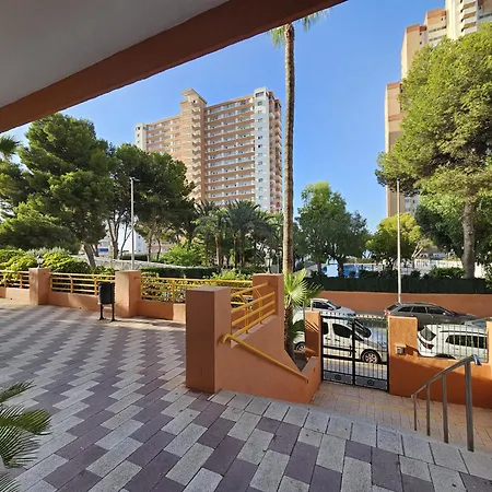 Provima B 7 If Apartment
