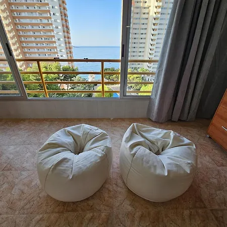Provima B 7 If * Benidorm