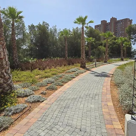 20 - Arena Benidorm