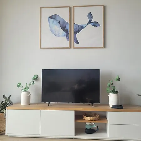 20 - Arena Apartment