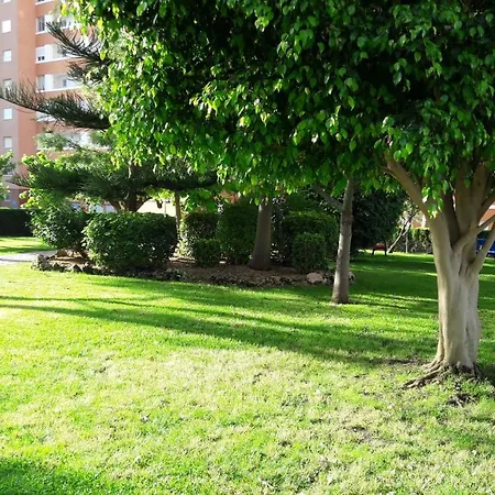 Apartamento Provima B 4 If Appartement