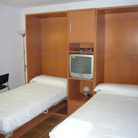 Palmeras Iii- Arena Benidorm