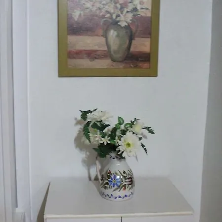 Appartement Provima Anis *