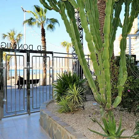 Apartment Don Miguel 1 10-b Levante *