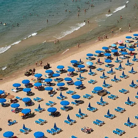 Las Palmeras 15a Benidorm
