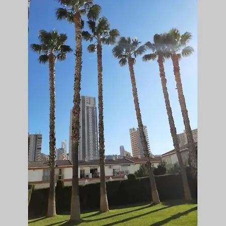 Mariscal 6 * Benidorm
