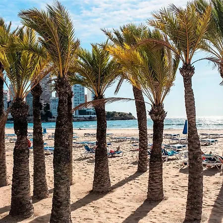 My Sweet Blue * Benidorm