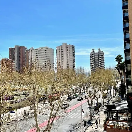 Mariscal 1 - Aloturin Benidorm
