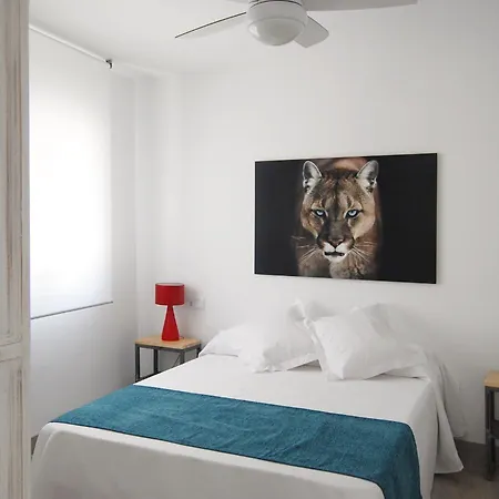Olivia Apartament *