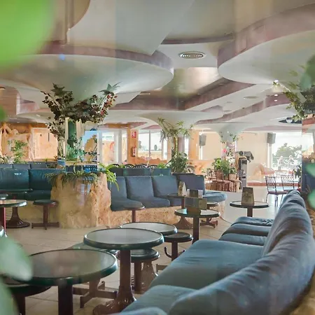 Kaktus Benikaktus Benidorm