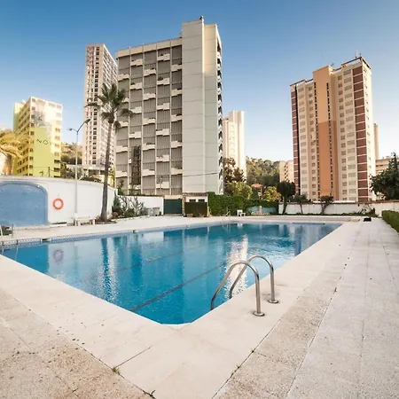 Moonkey - Luminoso Girasoles Benidorm