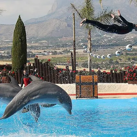 B - Coblanca 3 Levante 1 Dorm * Benidorm