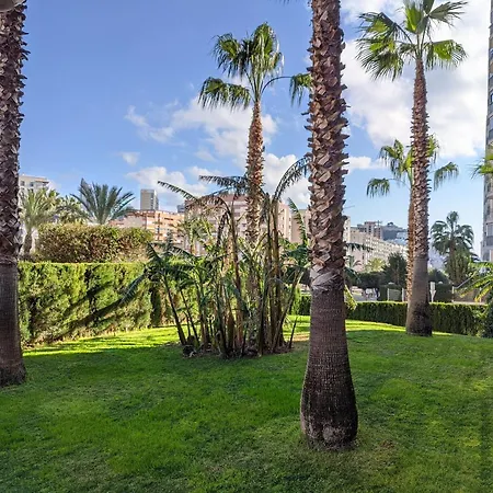 Estrella Design & * Benidorm