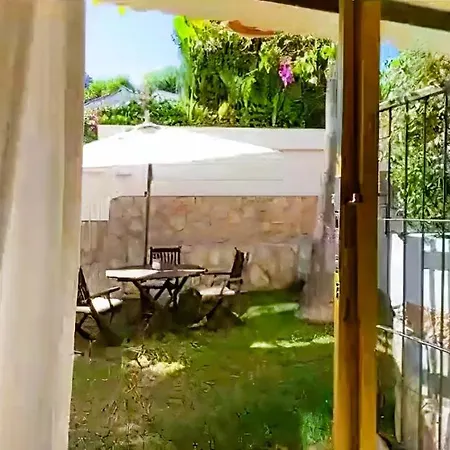 홈스테이 - Kitchen, Pool, Barbecue And Large Garden