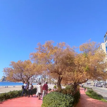 Velazquez By Interhome Benidorm