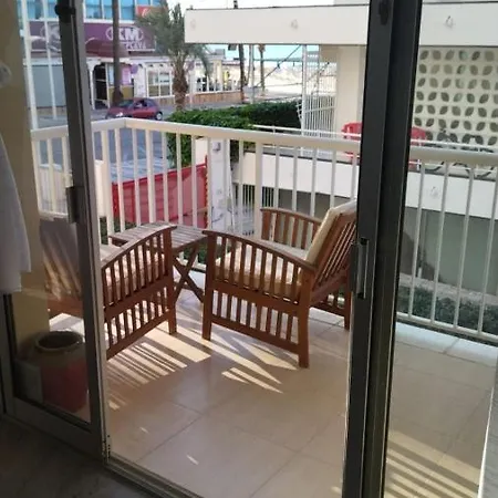 Rex Benidorm