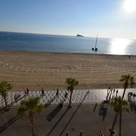 Carolina - Arena * Benidorm
