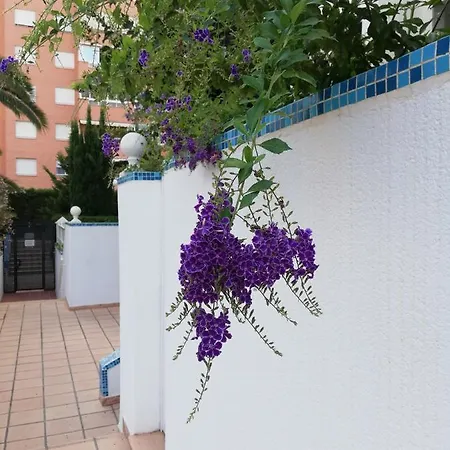 Apartment Casablanca Mediterranean