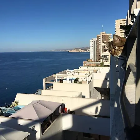 Piso En La Primera Linea Del Mar Con 2 Apartment *