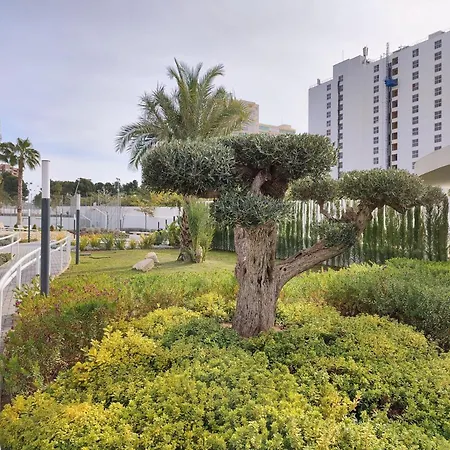 Sunset Waves Sunny Aparts Apartment Benidorm