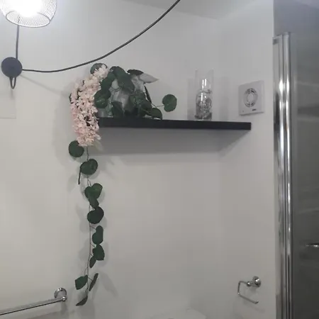 Rex Apartment *