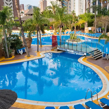 Hotel Medplaya Flamingo Oasis Benidorm