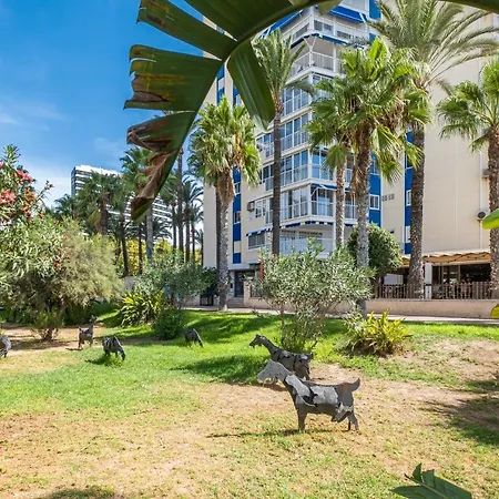 Torre Yago Deluxe 1-2 Levante