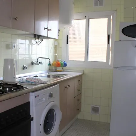 Palmeras -