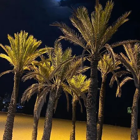 Solymar Levante Completo Con Piscina Y Parking Comunitario * Benidorm