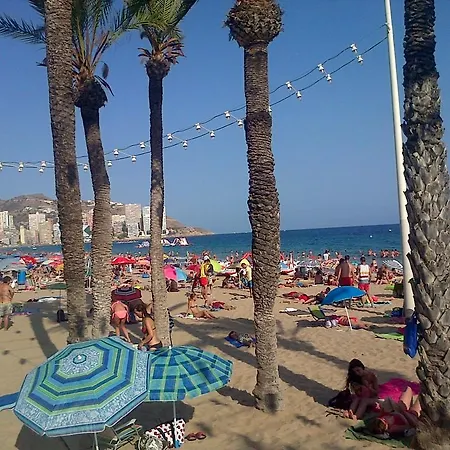 Iris * Benidorm