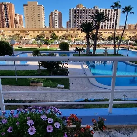 Apartment Panoramic View
