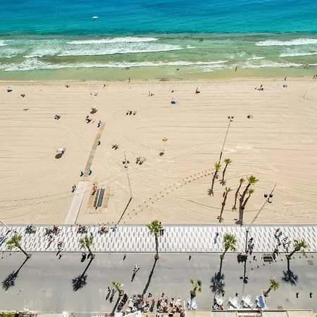 Cachirulo Deluxe 12-c Levante * Benidorm