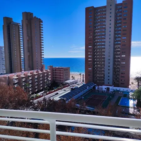 Currus Caballos Benidorm